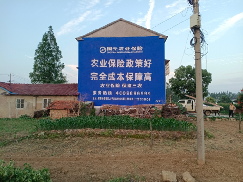  龙游墙体广告的优劣势你知道吗？