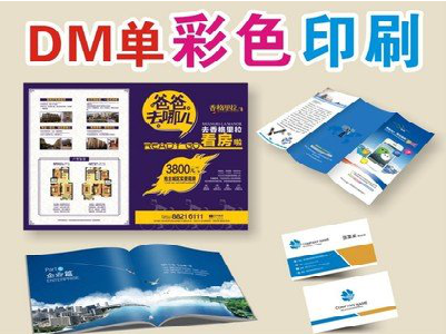  龙游单页印刷，色彩搭配简单。